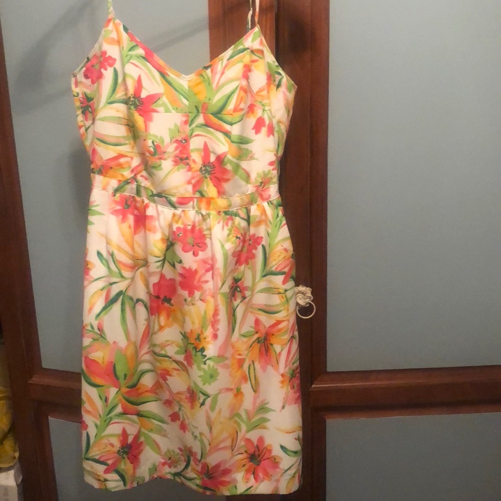 JCrew Dress